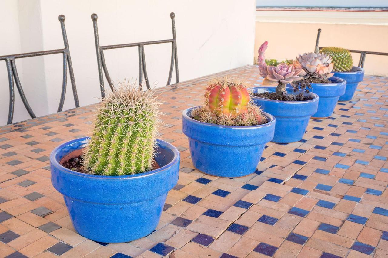Apartment Atico En El Centro Con Terraza